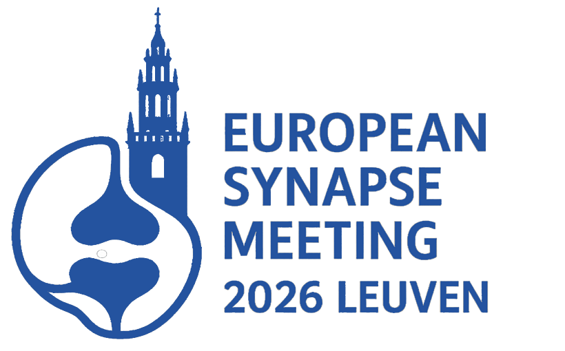 European Synapse Meeting 2026