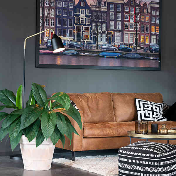 Bekijk de afbeelding groter